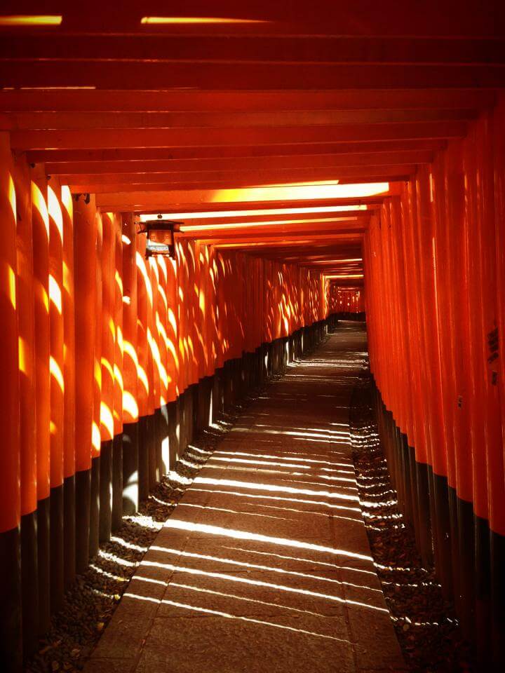 Fushimi Inari-taisha torii Kyoto Japan Djoser